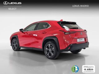 Lexus UX 2.0 250h Business