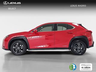 Lexus UX 2.0 250h Business