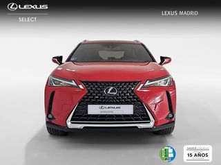 Lexus UX 2.0 250h Business