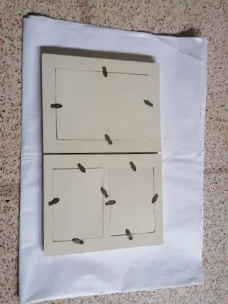 Portafoto da scrivania con 3 foto