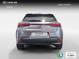 Lexus UX 2.0 250h Premium