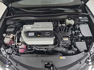 Lexus UX 2.0 250h Premium