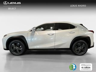 Lexus UX 2.0 250h Premium