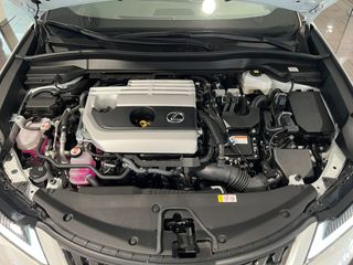 Lexus UX 2.0 250h Premium