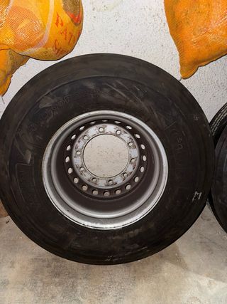 Neumáticos y llantas de dirección de camión