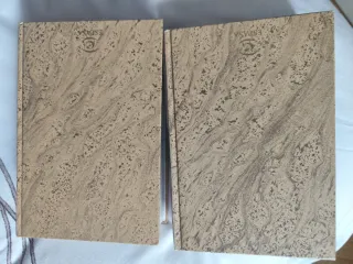 Diccionario Real Academia Española