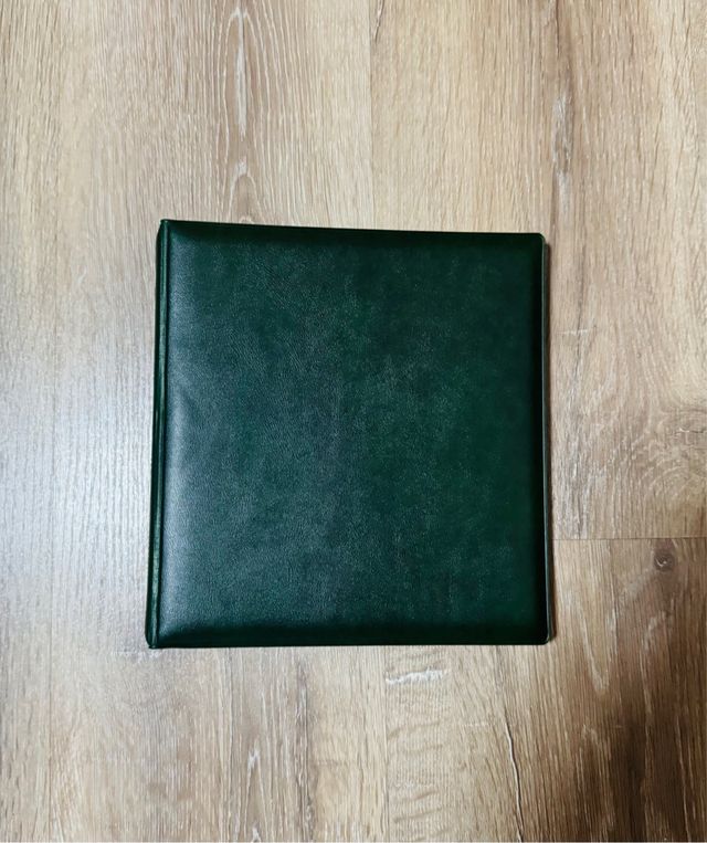 Lote de 2 Álbuns Pardo Verdes