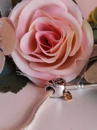 Charm Corazón 'Best Friend' y 'Love You'