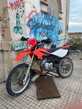 Beta rk6 RRT50 Roja