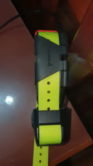 GPS Garmin Alpha 200