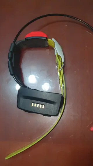 GPS Garmin Alpha 200