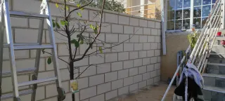 multiserviciosadaris