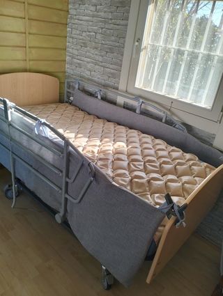 Cama Ortopédica Eléctrica