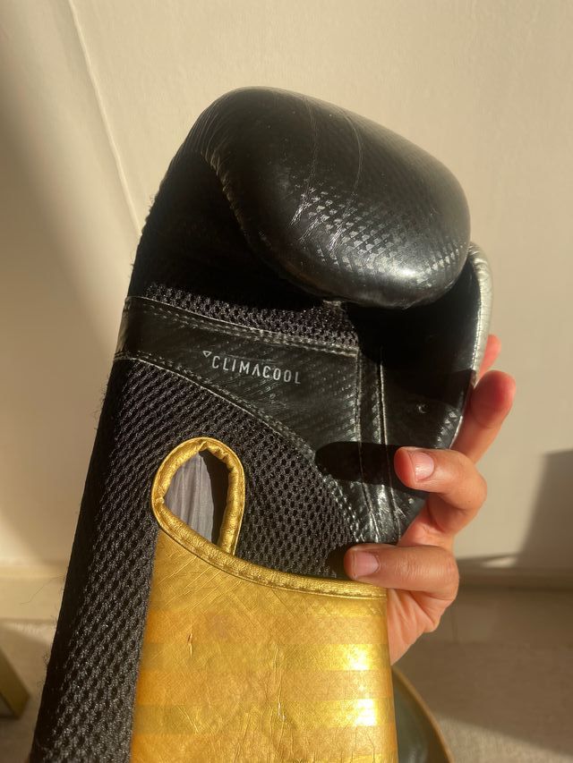 Pack Fitness: Mancuernas, Guantes y Más