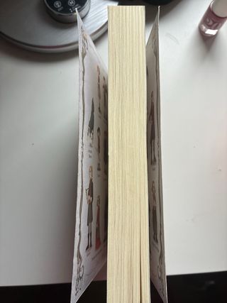 El museo de los ladrones: Los guardianes, libro...