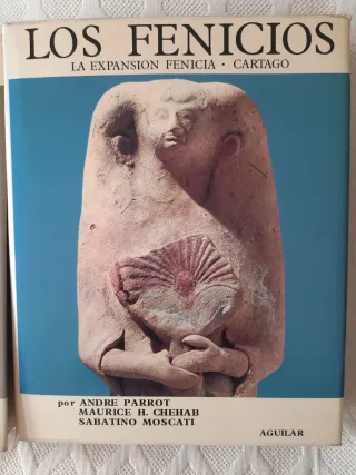 El universo de las formas