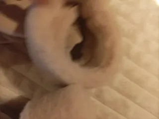 Guantes polar táctil a estrenar