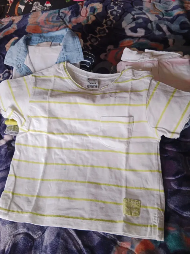 Lote Ropa Niño 9-18 Meses