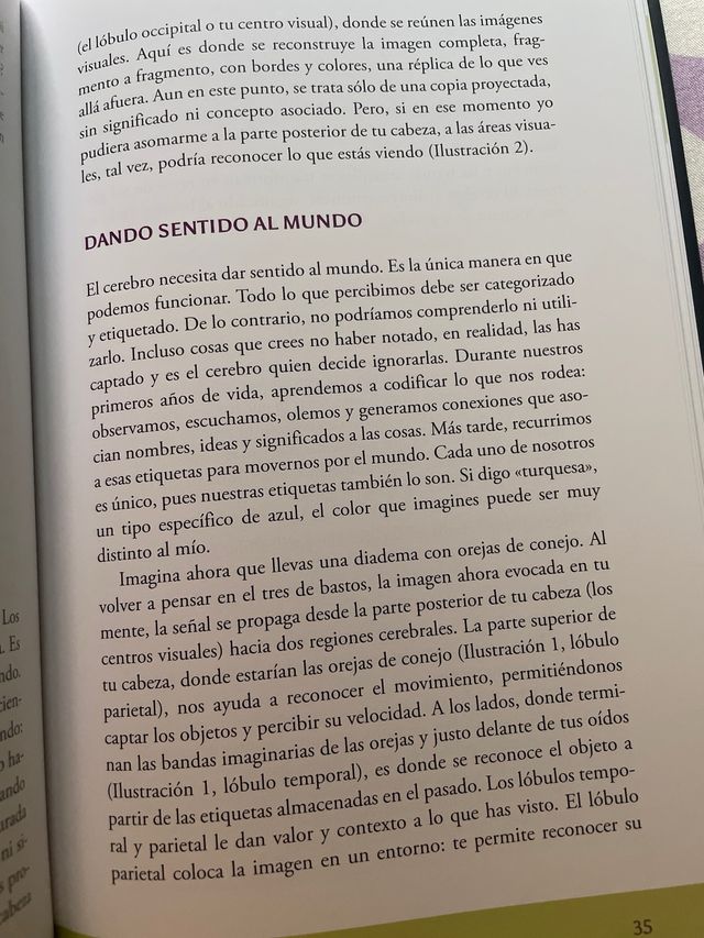 Tarot y Neurociencia