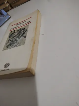 Se questo è un uomo (Nuove letture)