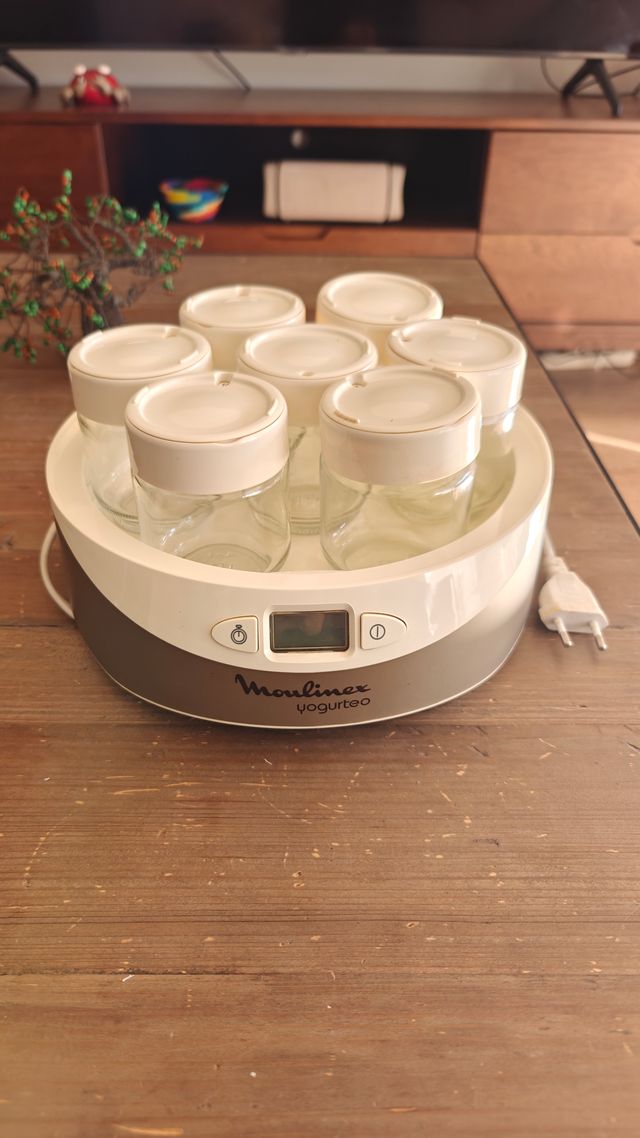 Yogurtera Moulinex Digital Programable