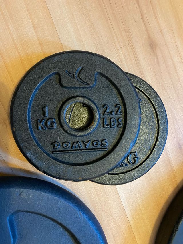 Discos de hierro Domyos 1kg