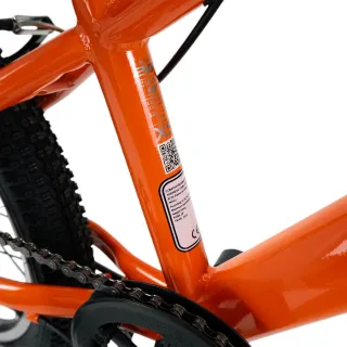 Bicicleta Infantil Bkom BPRO 20 MTB