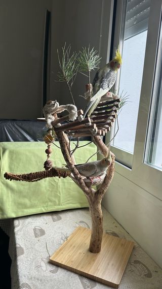Parque para loros y percha de mesa