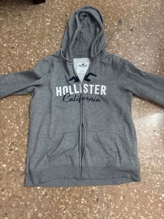 Sudadera Hollister Gris con Cremallera
