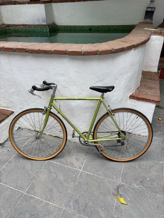 Bicicleta Vintage Verde