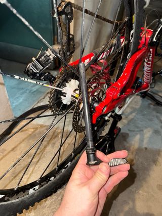 Bicicleta Specialized Stupjumper carbon