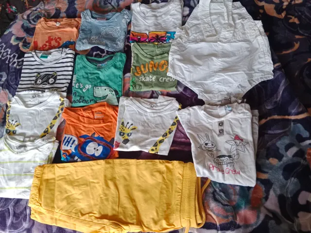 Lote Ropa Niño 10 Prendas