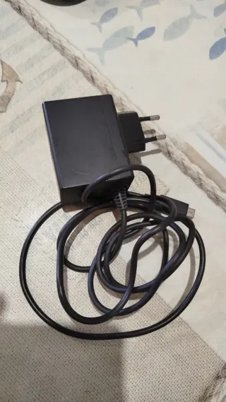 Nintendo Switch Lite Rosa con caricatore