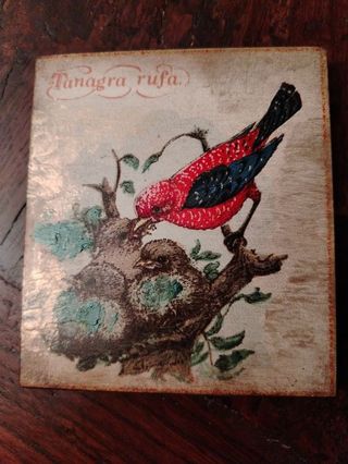 Coppia quadretti decorativi uccellini su legno