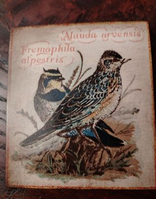 Coppia quadretti decorativi uccellini su legno