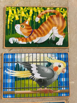 Puzzles de madera variados