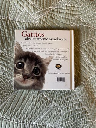 Gatitos absolutamente asombrosos