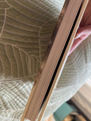 Gatitos absolutamente asombrosos