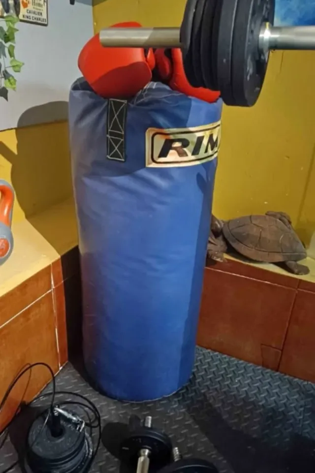 Banco de Pesas y Bicicleta Estática