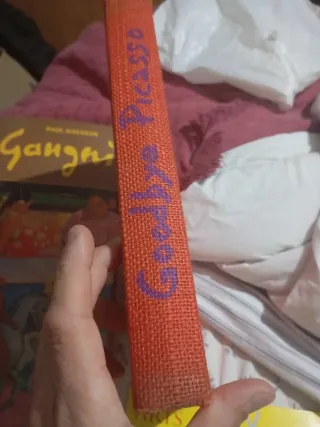 Lote Libri Arte: Picasso e Gauguin