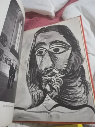 Lote Libri Arte: Picasso e Gauguin