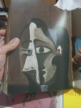 Lote Libri Arte: Picasso e Gauguin