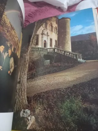 Lote Libri Arte: Picasso e Gauguin