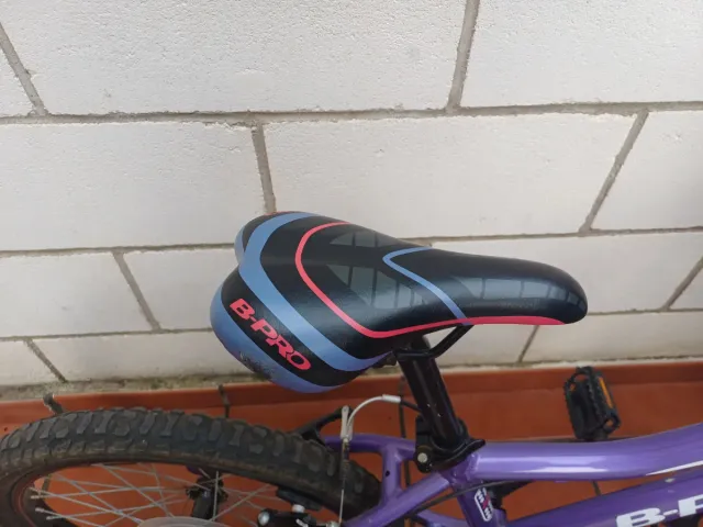 Bicicleta niña 20 B-PRO