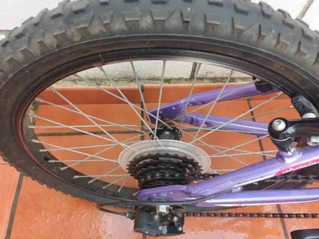 Bicicleta niña 20 B-PRO