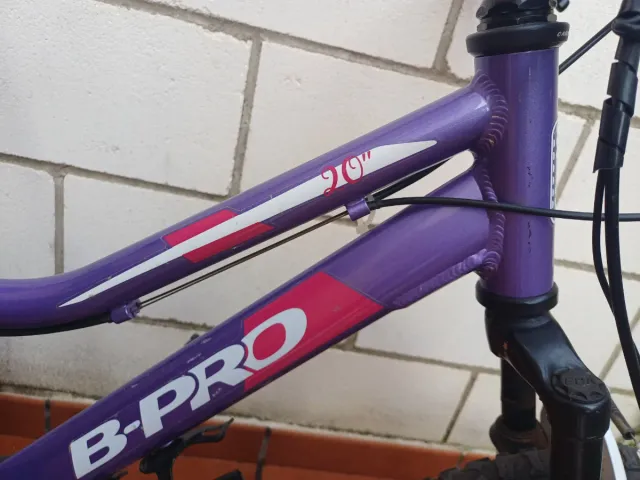 Bicicleta niña 20 B-PRO