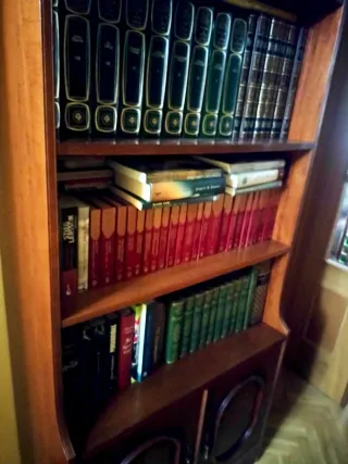 LIBRERIA IN LEGNO. Scaffali, libri, televisione