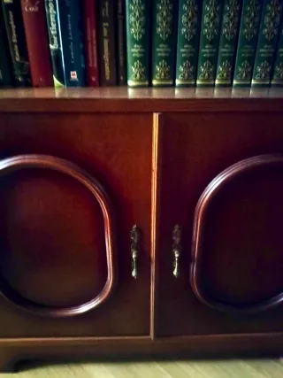 LIBRERIA IN LEGNO. Scaffali, libri, televisione