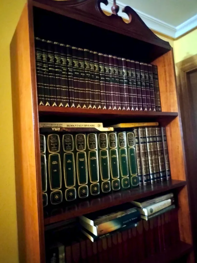 LIBRERÍA DE MADERA. Estantería, libros, televisión