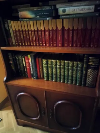 LIBRERIA IN LEGNO. Scaffali, libri, televisione